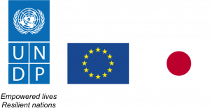 ec undp jtf sierra-leone partners